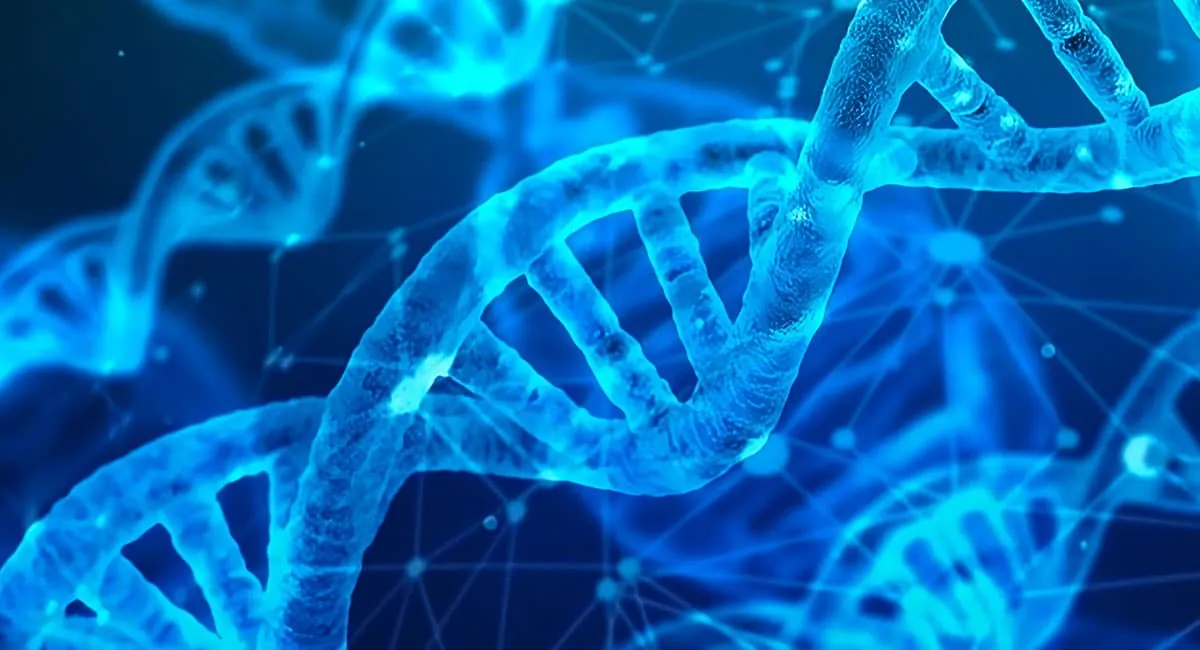 Alla scoperta dell’epigenetica con Belief+